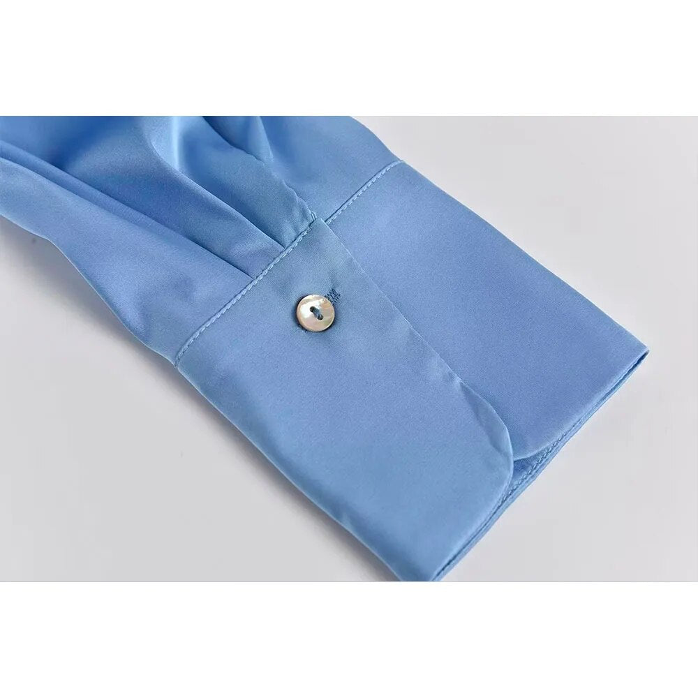 Rarove - Spring New Women's Long Sleeve Polo Shirt V-Neckline Front Ribbed Closed Satin Long Sleeve Drop Shirt