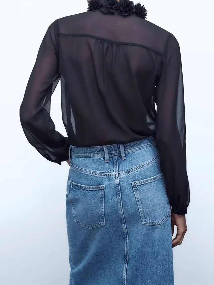 Rarove - New Women's 2023 Fashion Style Versatile Translucent Sexy Black Long Sleeve Shirt