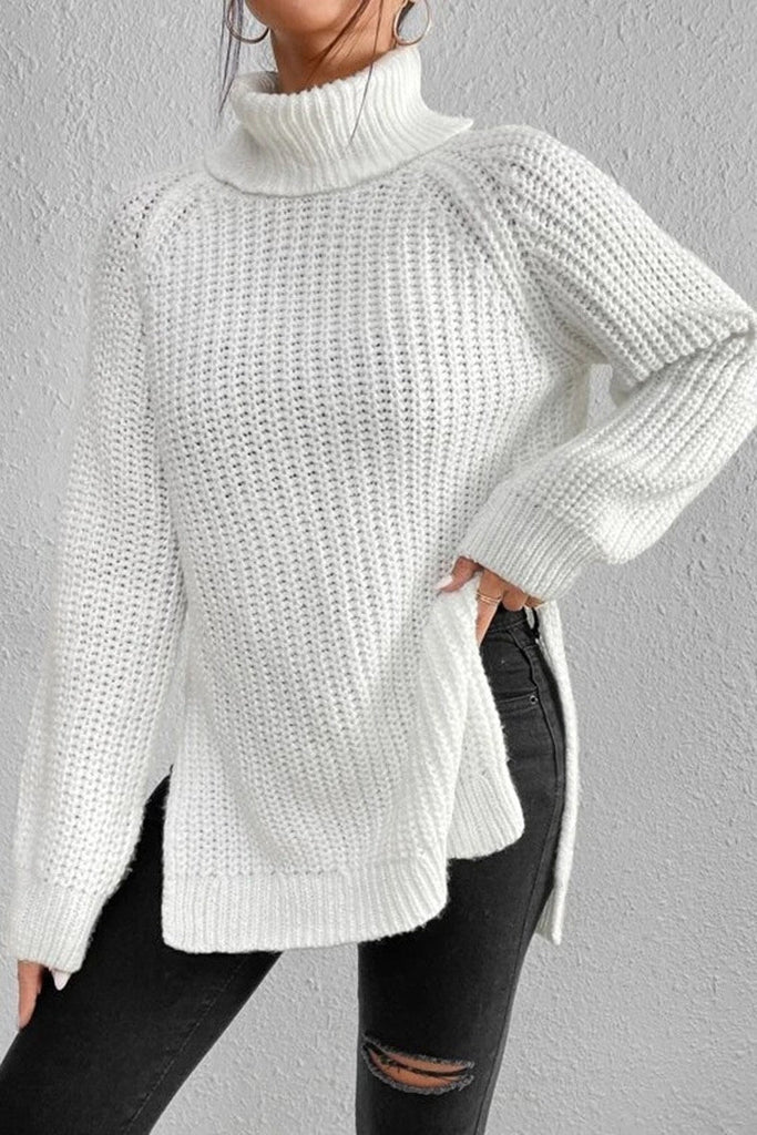 Rarove-Casual Solid Basic Turtleneck Sweaters(5 Colors)