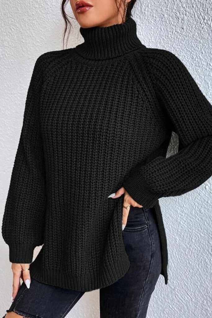 Rarove-Casual Solid Basic Turtleneck Sweaters(5 Colors)