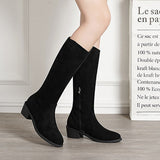 Rarove New Women Knee Boots Solid Color Suede Winter Warm Comfortable Female Shoes Point Toe Sexy Zipper Low Heel Retro Long Boot Botas