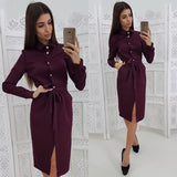 Women Vintage Front Button Sashes Sheath Party Dress Long Sleeve Turn Down Collar Solid Casual Dress 2022 Spring Fashion Dress