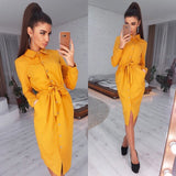 Women Vintage Front Button Sashes Sheath Party Dress Long Sleeve Turn Down Collar Solid Casual Dress 2022 Spring Fashion Dress